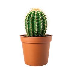 Illustration of cactus in pot png cactus png plant png pot png green png houseplant png illustration png transparent background