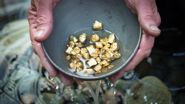 Hands holding metal pan filled with gold nuggets during panning process in river water, mineral exploration and precious metal mining concept, natural wealth discovery, treasure hunt geology extractio