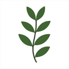 green leaves isolated on white background