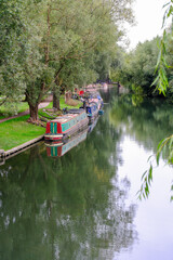 Obraz premium Canal boats and house boats moored along the River Cam in Cambridge, an idylic and quiet spot with the occassional rowing boat passing by
