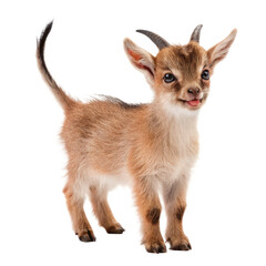 Obraz premium Little cute devil png devil png little png cute png halloween png cartoon png illustration png transparent background