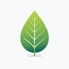 Green leaf illustration on white background suitable for environmental and nature themed designs