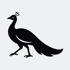 Elegant stylized peacock simple shape black silhouette standing vector illustration