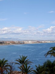 Obraz premium The scene captures a beautiful coastal view with palm trees in the foreground, bright blue water, and a town lining the shore