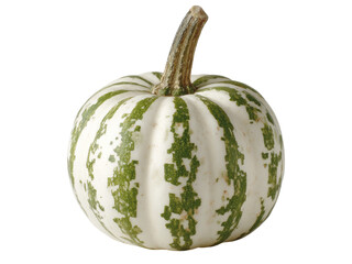 Small decorative gourd white green stripes autumn harvest, Isolated On White Background, Png Transparent