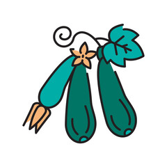 growing zucchini black line icon for digital and print projects. Arctic animals.