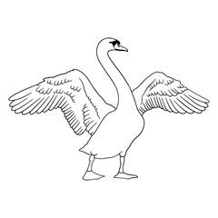 Monochrome hand drawn elegant swan clip art