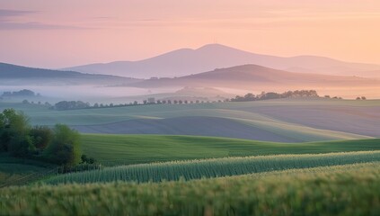 Obraz premium Gentle hills bathed in morning light