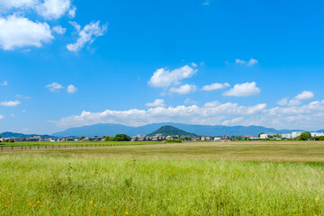 Obraz premium 夏の青空と緑豊かな田園風景