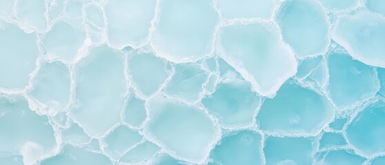 Obraz premium Pale blue ice floes pattern. Arctic landscape detail. Frozen water fragments create abstract texture. Cold climate environment. Polar region flora fauna background.
