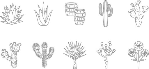 Collection of desert flora agave, aloe, barrel cactus, saguaro, prickly pear, cholla, yucca, and desert wildflowers