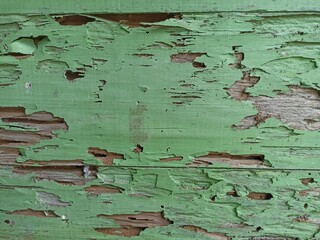 Weathered Green Painted Wood Texture. Close-up of old wooden surface with peeling green paint,...