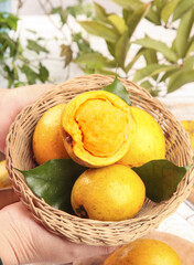 Fresh Golden Egg Fruit in Wicker Basket - Tropical Hainan Canistel with Creamy Yellow Flesh