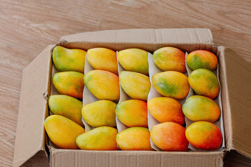 Fresh Ripe Mangoes in Cardboard Box - Tropical Fruit Delivery and Organic Produce