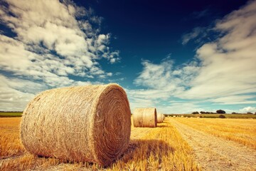 Golden Hay Bales on a Scenic Farm Field Under a Dramatic Sky.