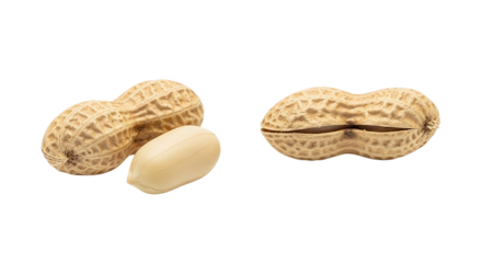 A healthy handful of peanuts rustic shells with nutty aroma a natural snack rich in earthy on transparent background