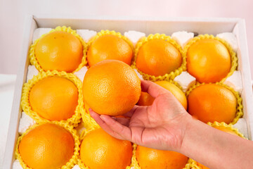Fresh Navel Oranges in Gift Box - Hand Selecting Premium Citrus Fruit with Protective Packaging
