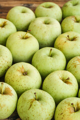 Fresh Shaanxi Green Golden Marshal Apples Sweet Sour Fruit Harvest Display