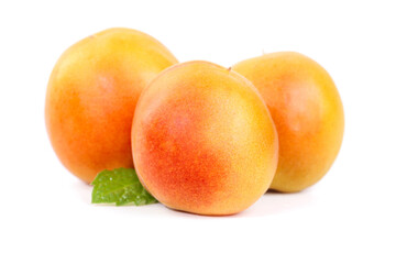 Fresh Ripe Apricots from Xinjiang with Green Leaf on White Background