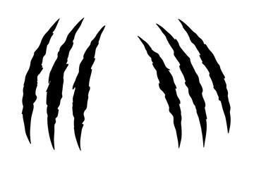 Claw scratches vector illustration. Animal claw marks silhouette. Monster, tiger, lion, or bear attack slash. Wild animal horror tear marks. Ripped paper effect. Danger.