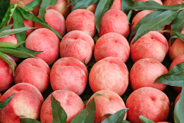 Fresh Ripe Peaches with Leaves at Market Display - Organic Stone Fruit Harvest
