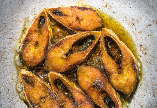 Hilsa (Tenualosa ilisha or Hilsa ilisha) or ilishi, hilsa herring or hilsa shad, is known as the "king of fish" due to its popularity, highly prized, delicate flavor. cut-fried, turmeric Shorshe Ilish