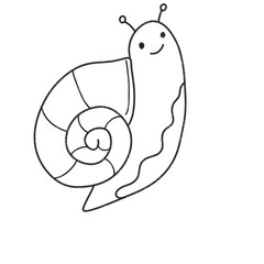 Hand Drawing Snail Illustration PNH