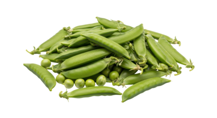 Isolated Sugar snap peas, fresh and bright green, in pile with some loose seeds, studio shot