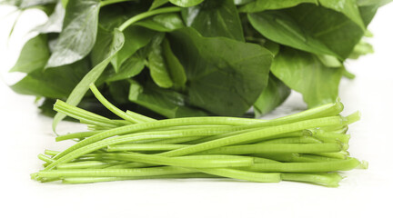 Fresh Green Leafy Vegetables and Stems on White Background - Healthy Organic Farm Produce