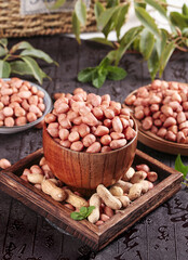 Fresh Raw Peanuts in Wooden Bowls - Healthy Natural Legume Crop Display with Green Plants