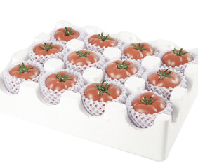 Fresh Red Tomatoes in Protective Packaging Box for Safe Transportation