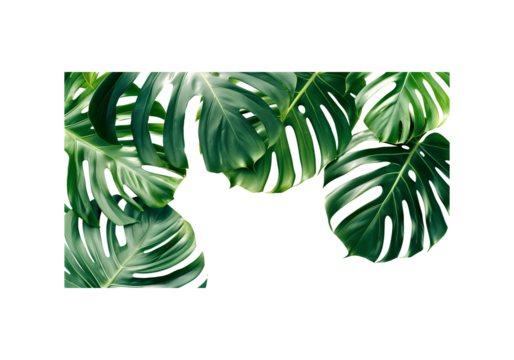 Tropical leaves with graphene lattice texture overlay, modern mi