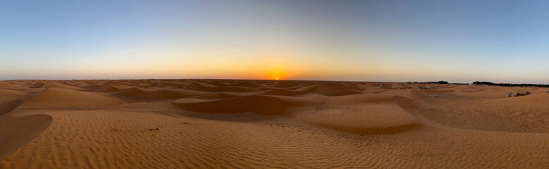 Golden sand dunes stretch endlessly across the landscape in Douz, Tunisia, reflecting the warm light of the sun. The serene desert scene captivates with its natural beauty.