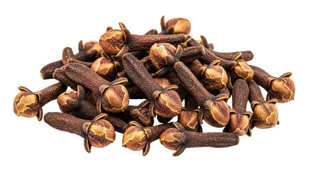 Isolated cloves spice, popular aromatic condiment used to flavor dishes, season food