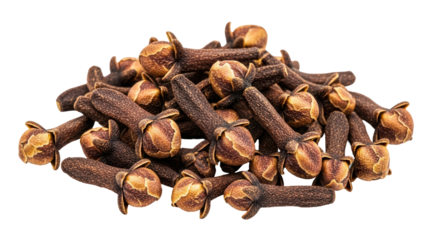 Isolated cloves spice, popular aromatic condiment used to flavor dishes, season food