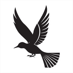 Obraz premium A black silhouette of a bird captured mid-flight, its wings spread wide and tail fanned out