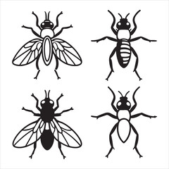 A Tiny and Unsanitary Fly Insect, a Common Invertebrate from the Order Diptera with Compound Eyes and a Role in Decomposition, a Pest and an Unlikely Pollinator