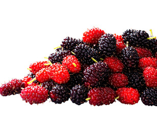 Red and Black Mulberries Mixed Together, Ripe and Unripe Stages, Isolated