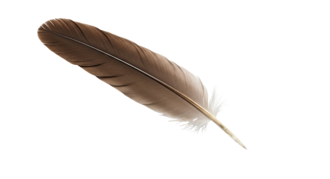 Isolated Brown Feather