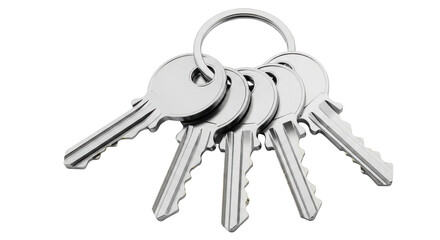 Isolated Bunch of Silver Keys on Ring