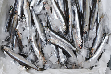 Fresh sea fish anchovies on ice in street market of Italy. Food photography