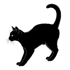Black cat stretching silhouette isolated on white background