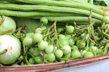 fresh Pea eggplant healthy food