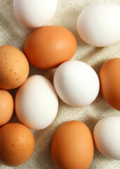 chicken eggs on the table. Farm products, natural eggs.. Vertical photo format