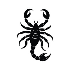Black and white silhouette scorpion design