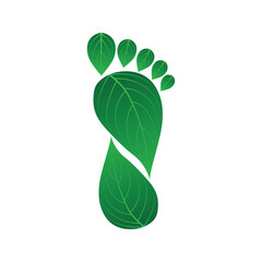 illustration boot patterns tree green