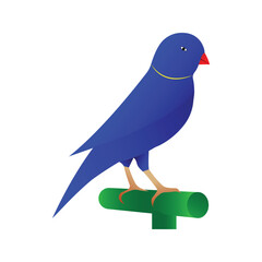 illustration design beautiful blue bird