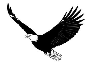Obraz premium Black eagle in flight with wings spread against a white background