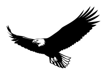 Obraz premium Black eagle in flight with wings spread against a white background