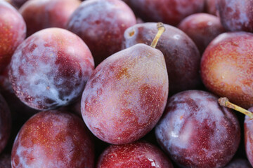 Fresh Ripe Prunes with Natural Bloom - Healthy Organic Stone Fruit Background